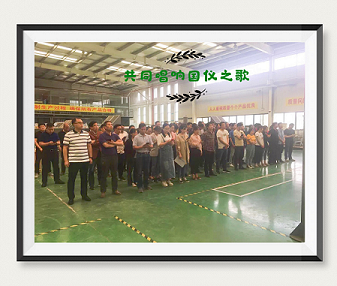 2019年召开“520”国仪表彰大会(图1)